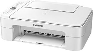 Read more about the article Canon TS3100 Series Driver And Software Download